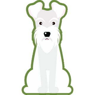 Schnauzer On Green Sticker