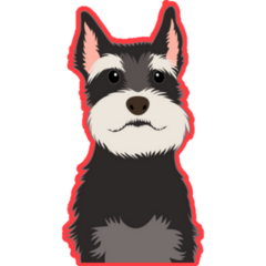 Schnauzer On Red Sticker