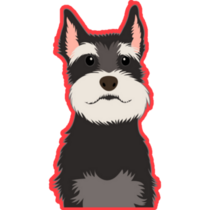 Schnauzer On Red Sticker