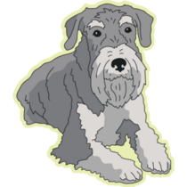 Schnauzer On Yellow Sticker