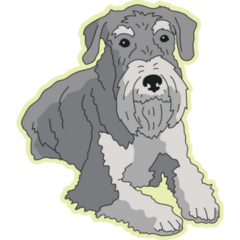 Schnauzer On Yellow Sticker