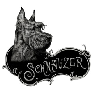 Schnauzer Portrait Sticker