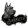 Schnauzer Portrait Sticker