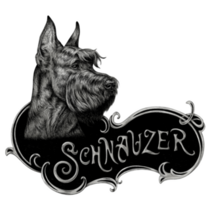 Schnauzer Portrait Sticker