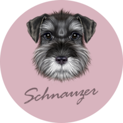 Schnauzer Purple Sticker