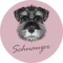 Schnauzer Purple Sticker