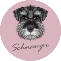 Schnauzer Purple Sticker