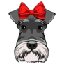 Schnauzer Red Bow Sticker