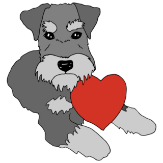 Schnauzer Red Heart Sticker