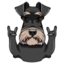 Schnauzer Rock On Sticker