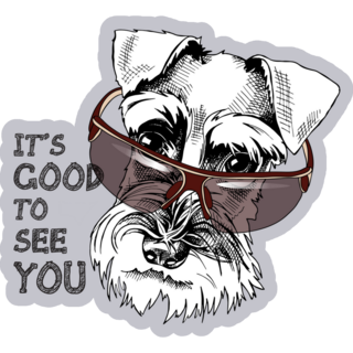 Schnauzer Saying Sticker