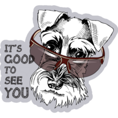 Schnauzer Saying Sticker