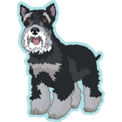 Schnauzer Side View Sticker