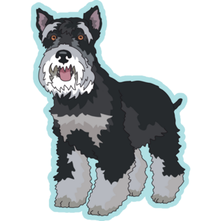 Schnauzer Side View Sticker