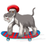 Schnauzer Skateboard Sticker