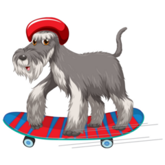 Schnauzer Skateboard Sticker