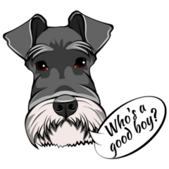Schnauzer Speech Sticker