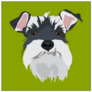 Schnauzer Square Sticker