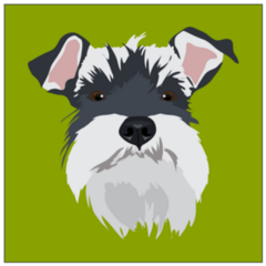 Schnauzer Square Sticker