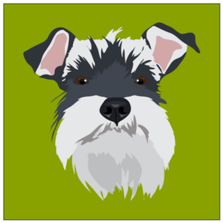 Schnauzer Square Sticker