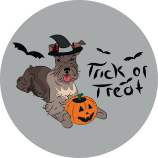 Schnauzer Trick/Treat Sticker
