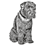 Schnauzer Waits Sticker