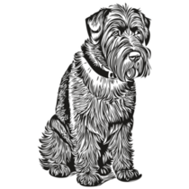 Schnauzer Waits Sticker