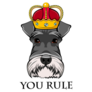 Schnauzer You Rule Sticker