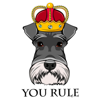 Schnauzer You Rule Sticker