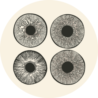 Science Of The Human Eye Sketch Sticker