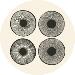 Science Of The Human Eye Sketch Sticker