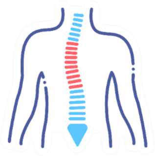 Scoliosis Line Color Icon Chiropractic Sticker