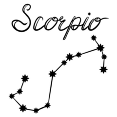 Scorpio Constellation Illustration Line Art Sticker