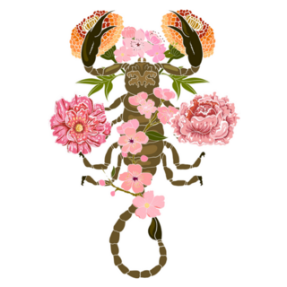 Scorpio Floral Astrology Horoscope Sticker