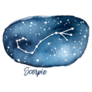 Scorpio Zodiac Sign Star Constellation Sticker