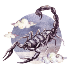 Scorpio - Zodiac Symbol Watercolor Illustration Sticker