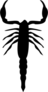 Scorpion Full Body Sticker