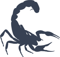 Scorpion On The Attack Sticker