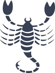 Scorpion Pieces Sticker
