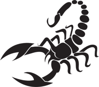 Scorpion Sticker