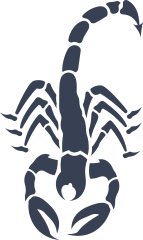 Scorpion Walking Sticker