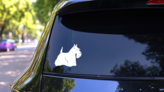 Scottish Terrier Dog Sticker on a Rear Car Window (New) example