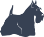 Scottish Terrier Dog Sticker