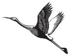 Scratch Board Illustration Of Flying Crane Sticker