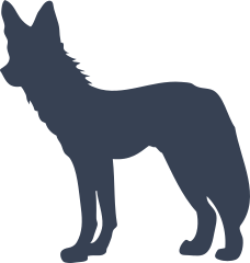 Scrawny Wolf Coyote Sticker