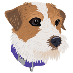 Scruff Jack Russell Sticker