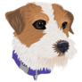 Scruff Jack Russell Sticker