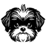 Scruffy Shih Tzu Sticker