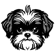 Scruffy Shih Tzu Sticker