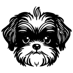 Scruffy Shih Tzu Sticker